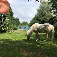 Pavel im Garten