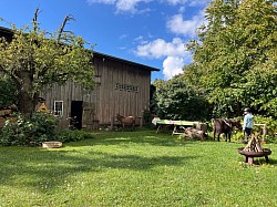der Blick vom Wohnhaus in den Garten