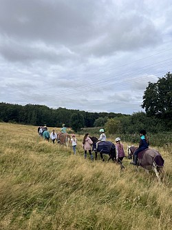 ausreiten
